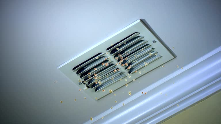 Best Residential Air Duct Cleaning  in Birch Bay, WA