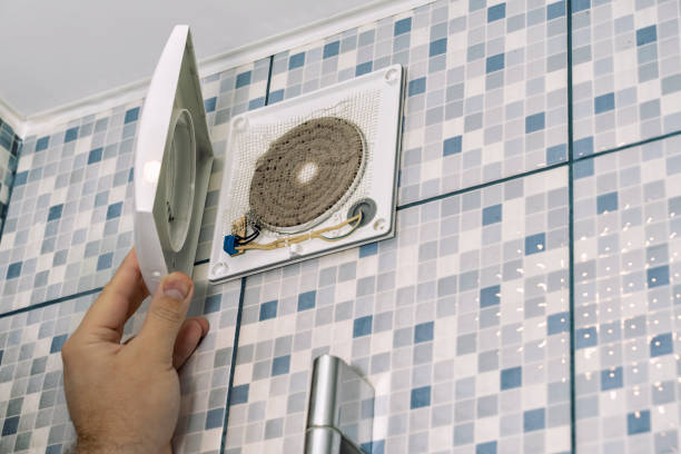 Air Duct Mold Removal in Birch Bay, WA