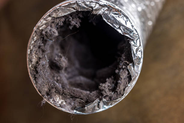 Best Air Duct Cleaning Near Me in Birch Bay, WA