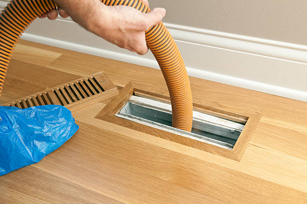 Best Professional Duct Cleaning Services  in Birch Bay, WA